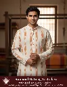 Shily Full Ikkat Kurta 38 L 03.webp