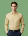 Swanand Full Shirt Formal
